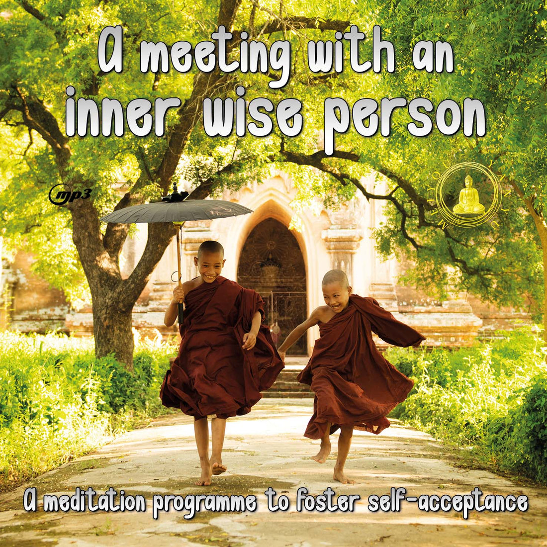 A meeting with an inner wise person - Digital audiobook